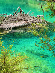 黄龙游记图文-夏季暑假毕业旅行坐高铁游九寨黄龙九曲阿坝看万亩油菜花郎依寺日出日落