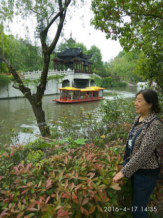 烟花三月下江南 - 浪漫华东十四日游记