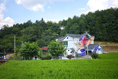 观山湖会展城/金融城游记图片] 乡游黔中 观山湖区 高寨村丨踏雾采茶听芦笙，山湖作伴好寻春
