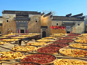 皖南地区游记图文-2025年11月安徽皖南自驾游小记 皖南秋色（下）