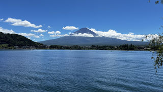 东京前往富士山河口湖一日自由行，骑行、拍照、美食才叫惬意