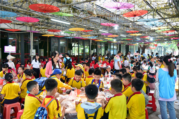 广东秋季研学进入高潮,农耕劳动主题成了小学生的必修课