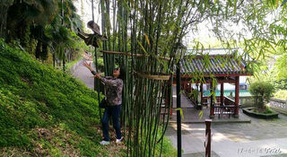 把快乐留在记忆里——17年春季游