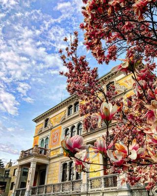 优选酒店 | 春天来苏黎世，赴一场与花的约会