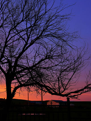 太仆寺草原的颜色，和六月的棉袄