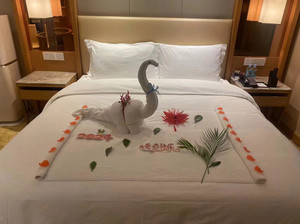 长途汽车站/临沂大学区游记图文-元旦打卡-临沂商城蓝海大饭店