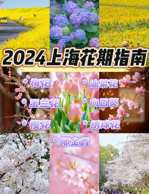 2024上海赏花指南合集|花期+赏花地点