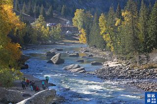 随着《我的阿勒泰》热播，探寻秘境可可托海美景与牧羊人精彩故事
