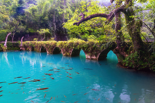 荔波亲子行:三天的奇遇,一生的回忆