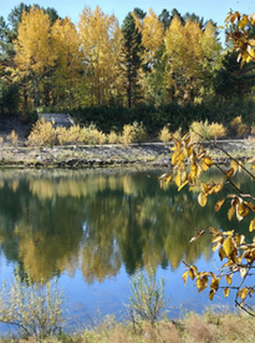 北极村游记图片] 云游四海（1831）东北边境行之八：北极村