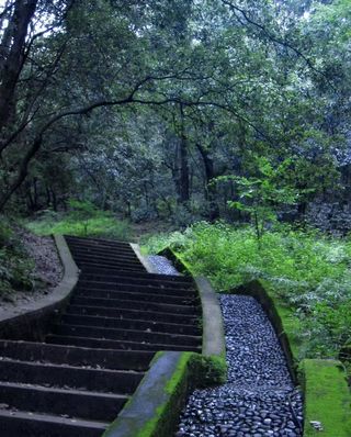 在昆明发现一条神仙步道🌿为一口山泉爬了999级台阶！！