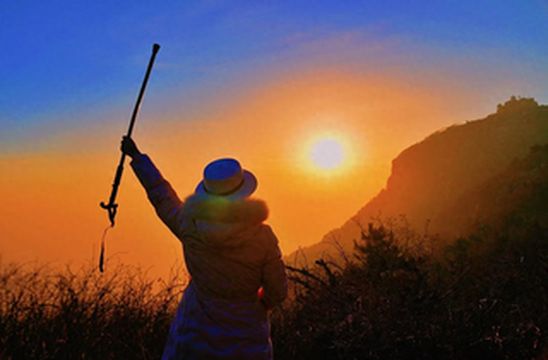 新年旅行,文化泰安,在泰山之巅,迎接新年的第一缕阳光