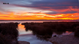阿利坎特省游记图文-错失的粉红珍珠 -- 西班牙托雷维耶哈
