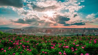 邂逅临夏|3日-游遍河州风光，吃透临夏美食