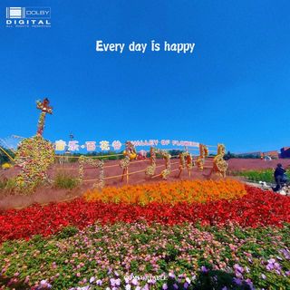 来新都音乐百花谷,邂逅一场无与伦比的浪漫!