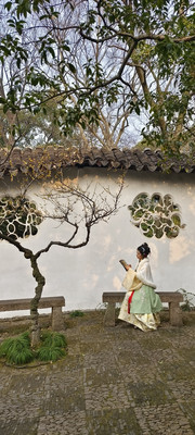姑苏寻梅