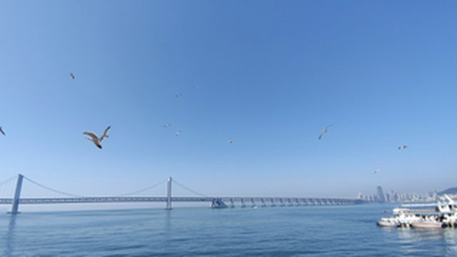 大连自驾游 和家人一起暴走的时间