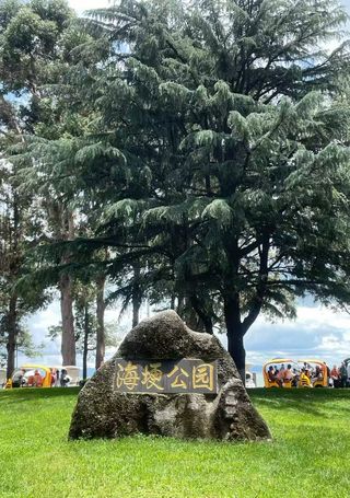 昆明海埂公园：不用费劲儿的舒服地儿🐾