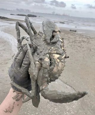 环岛路赶海一日游丨感受大自然的馈赠