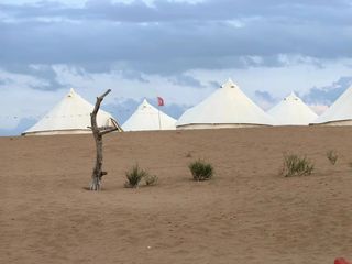 7天6晚银川-中卫-固原-平凉暑期亲子自驾游(多图)