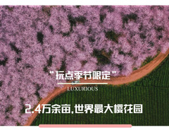 贵阳游记图片] 2023年贵州平坝樱花园旅游攻略（交通指南＋花期指南＋游玩攻略）