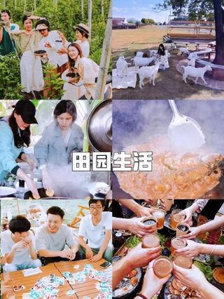 秋日团建指南|长兴岛桔园野炊+摘橘,解锁上海周边宝藏农庄!