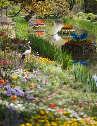 共青不止莫奈花园3.29亲测赏花路线攻略