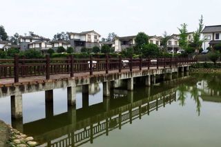 巴蜀美丽文艺乡村“明月村自驾游随笔”