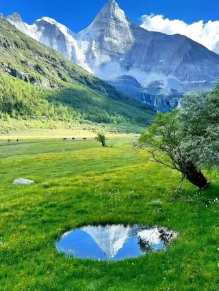 总要去一次川西，治愈心灵之旅