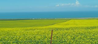 2025年7月敦煌行—青甘小线