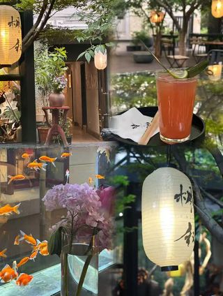 昆明市区宝藏!弥勒寺公园逛到不想走🌿