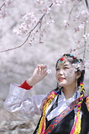 朗县游记图片] 赏桃花、品非遗、我的初次西藏之行