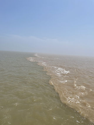 非旅游城市东营的惊喜之旅