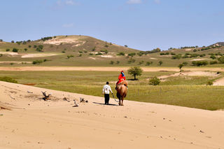 金秋自驾坝上草原,与羊驼小鹿共餐,走进童话世界,三天三地这样玩