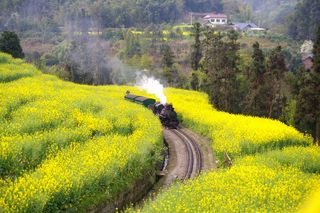 独孤游记:开往春天的列车,嘉阳小火车一日游