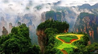 刚去了张家界国家森林公园，门票就让我省了不少钱，哈哈