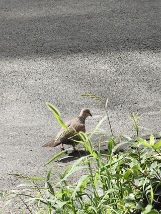 江浙沪之“浙沪”打卡 从上海到杭州