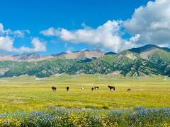 新疆游记图片] 南疆北疆七天六晚自由行