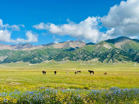 南疆北疆七天六晚自由行- 新疆游记攻略【携程攻略】