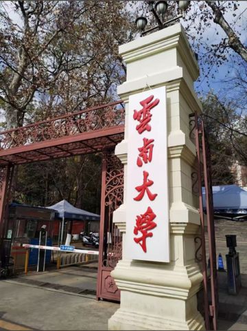 云大逛吃封神指南!住翠湖丽瑞德才是春城正确打开方式🌿