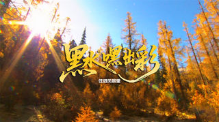 黑水“嘿”出彩｜赏绝美彩林、住特色民宿、感受秋日悠闲氛围！