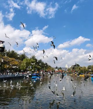 一封来自西伯利亚的情书