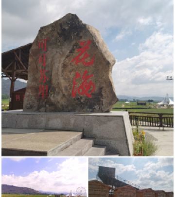 北屯游记图文-北疆＆乌鲁木齐15日游（下）