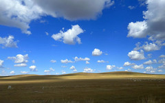 东乌旗游记图片] 秋日的内蒙古，少了绿，还有什么 | 国庆四日三晚亲子自驾游