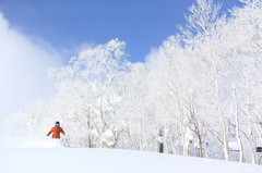 札幌游记图片] 2023-24雪季来留寿都度假村滑雪场-雪票怎么选？
