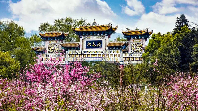 走进桃花源  感受那片宁静美好的天地