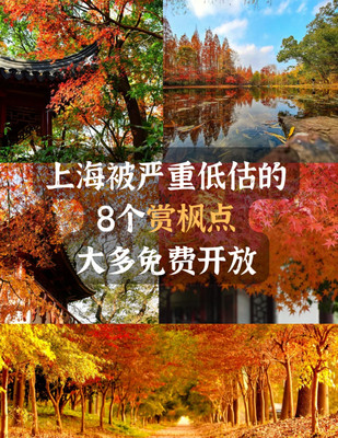 上海被严重低估的8个赏枫点 ！大多免费~
