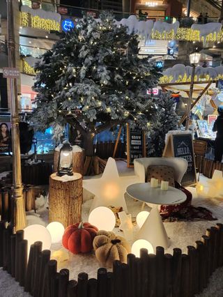 住丽瑞德，游顺城街！