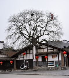 石泉游记图文-西安到石泉古街后柳水乡两日游