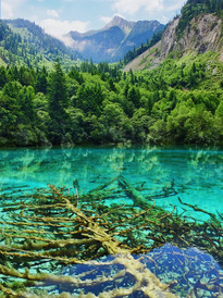 黄龙游记图片] 从成都坐高铁游九寨沟二次进沟黄龙若尔盖自助游